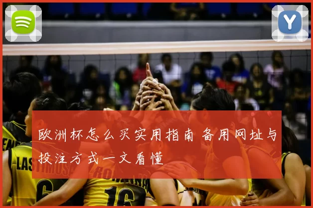 欧洲杯怎么买实用指南 备用网址与投注方式一文看懂