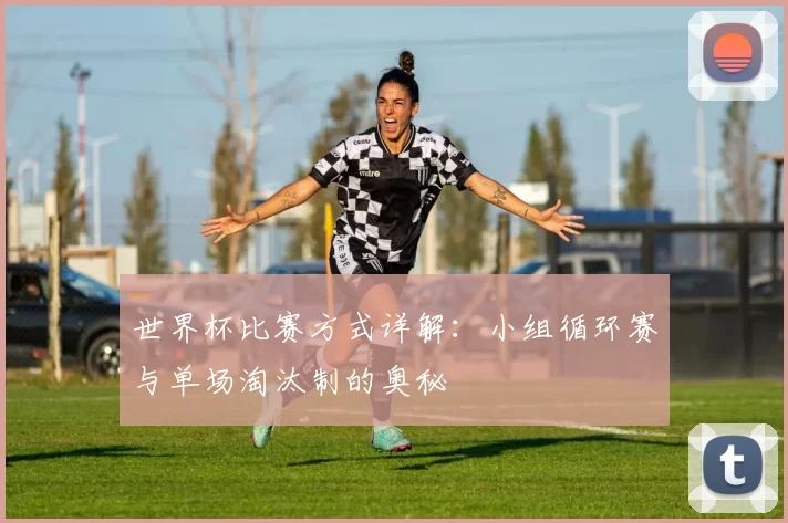 世界杯比赛方式详解：小组循环赛与单场淘汰制的奥秘