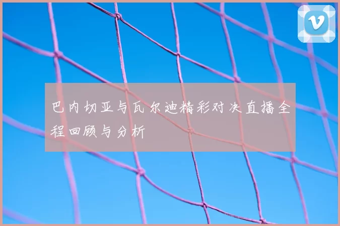 巴内切亚与瓦尔迪精彩对决直播全程回顾与分析