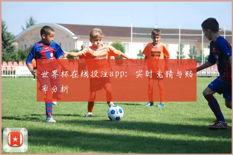 世界杯在线投注app：实时竞猜与赔率分析