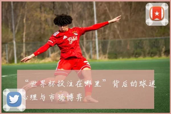 “世界杯投注在哪里”背后的球迷心理与市场博弈