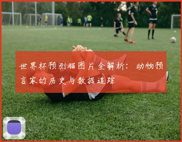 世界杯预测猫图片全解析：动物预言家的历史与数据追踪