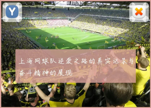 上海网球队逆袭之路的真实记录与奋斗精神的展现