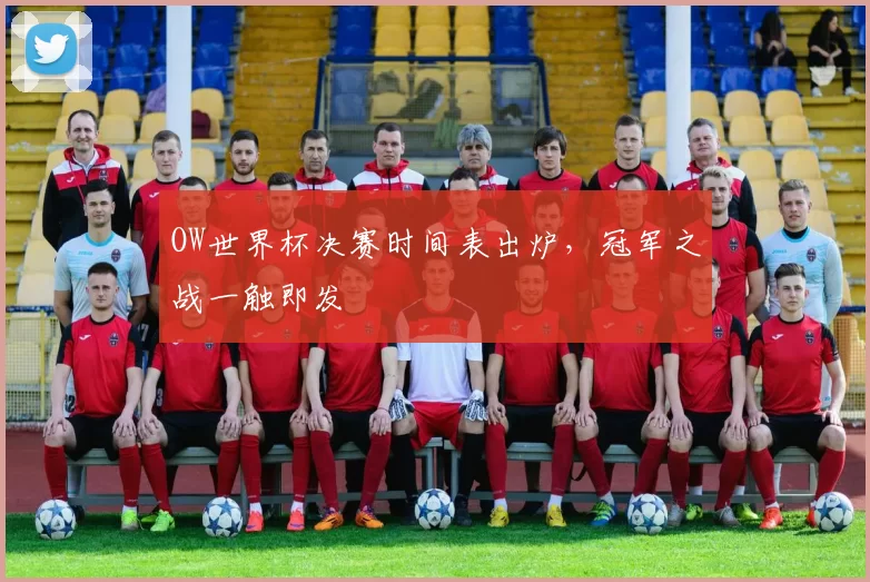 OW世界杯决赛时间表出炉，冠军之战一触即发