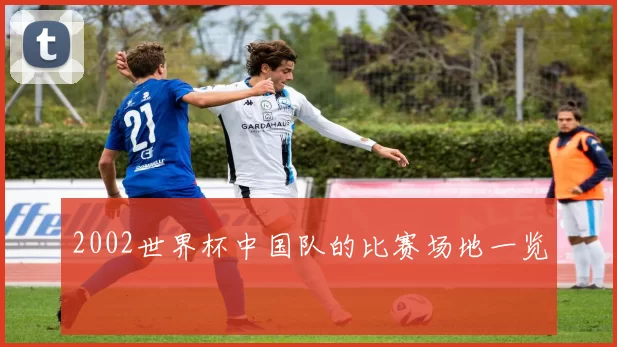 2002世界杯中国队的比赛场地一览
