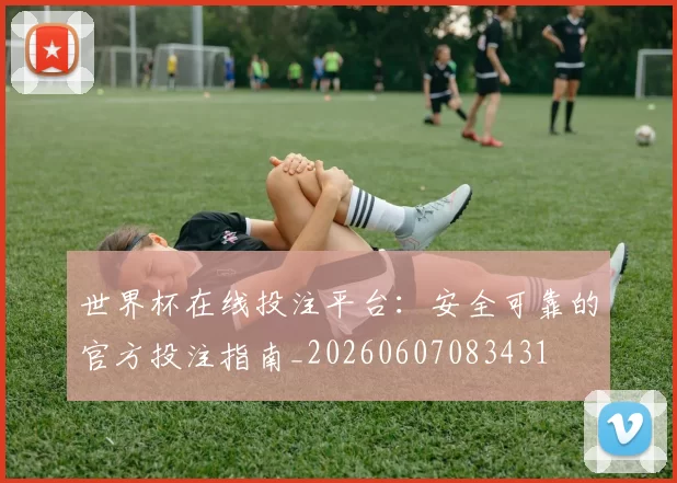 世界杯在线投注平台：安全可靠的官方投注指南_20260607083431